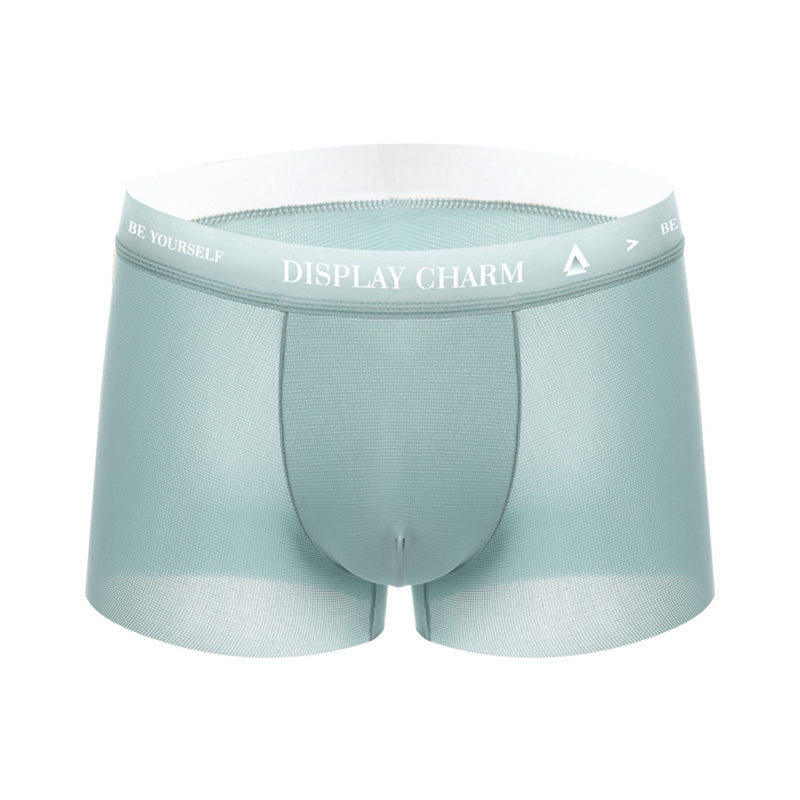 Naadloos ondergoed van ijszijde voor heren