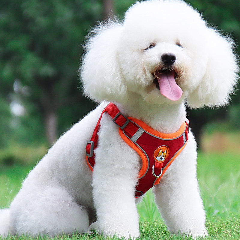 Reflecterende huisdierharnas en riemset