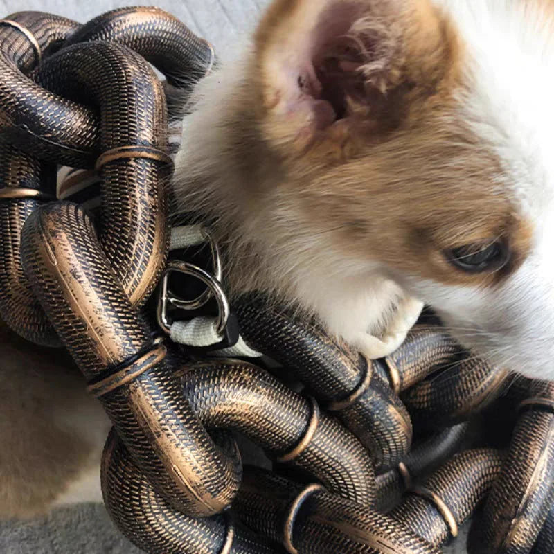 Grappige grote hondenketting