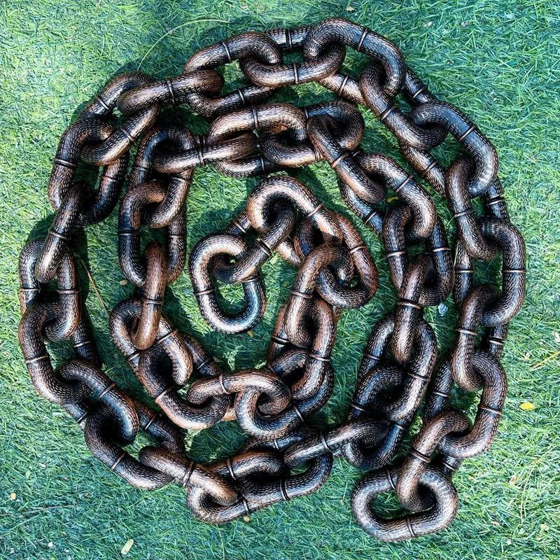 Grappige grote hondenketting