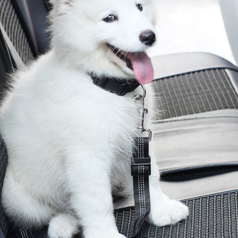 Verstelbare elastische hondenveiligheidsgordel