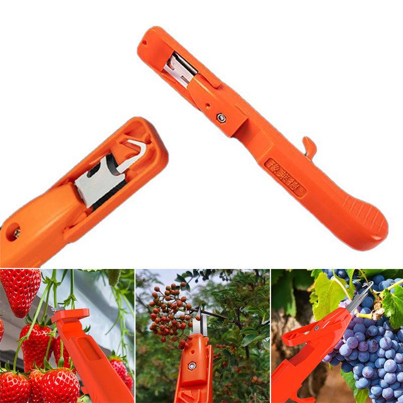 Efficiënt hulpmiddel voor het verzamelen van fruit