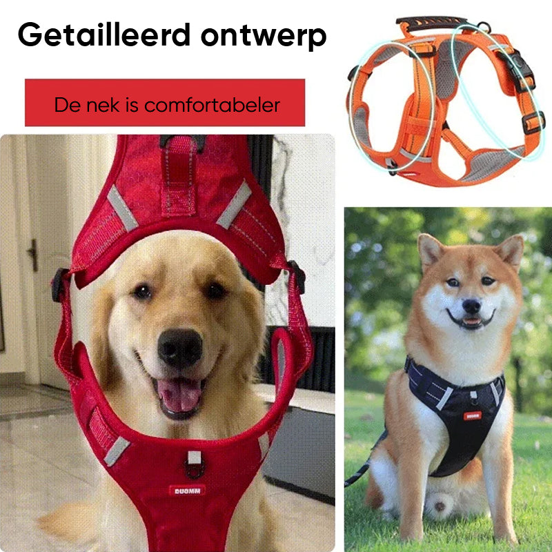 Reflecterende hondenborstband