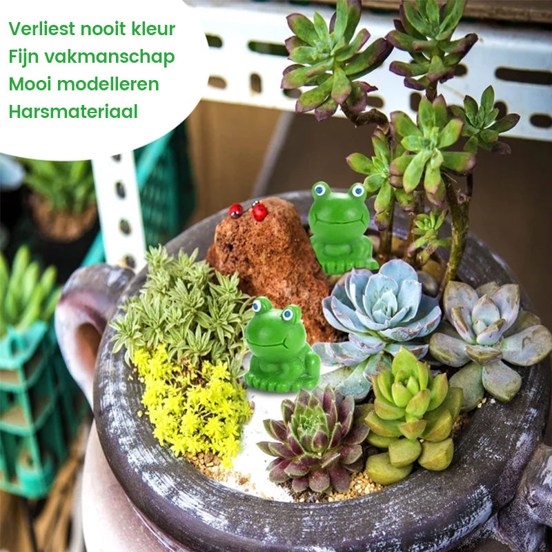 Uitdagingsspeelgoed voor kleine kikkers verbergen