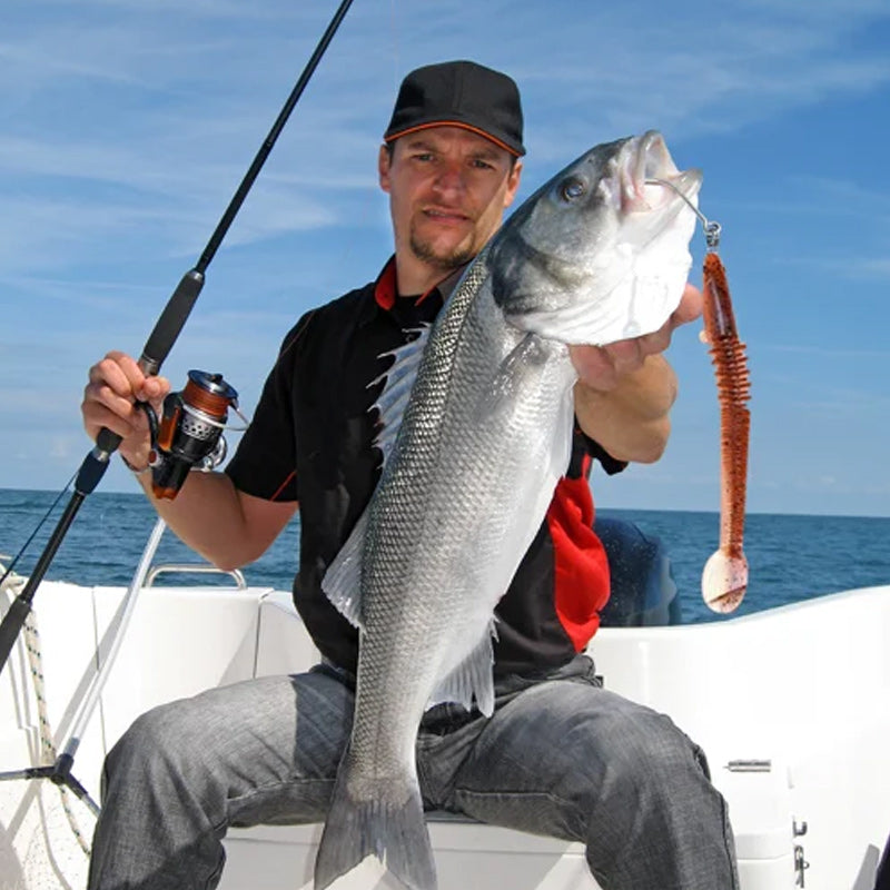 Nieuw ontwerp Angler Dragon Loach Lure 46 sectie zacht aas