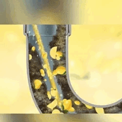 Magic Stick voor pijpontsmetting en ontgeuring (12 stuks)