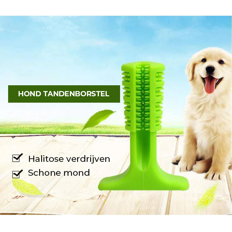 Tandenborstel voor honden
