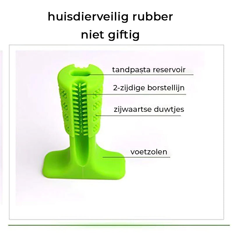 Tandenborstel voor honden