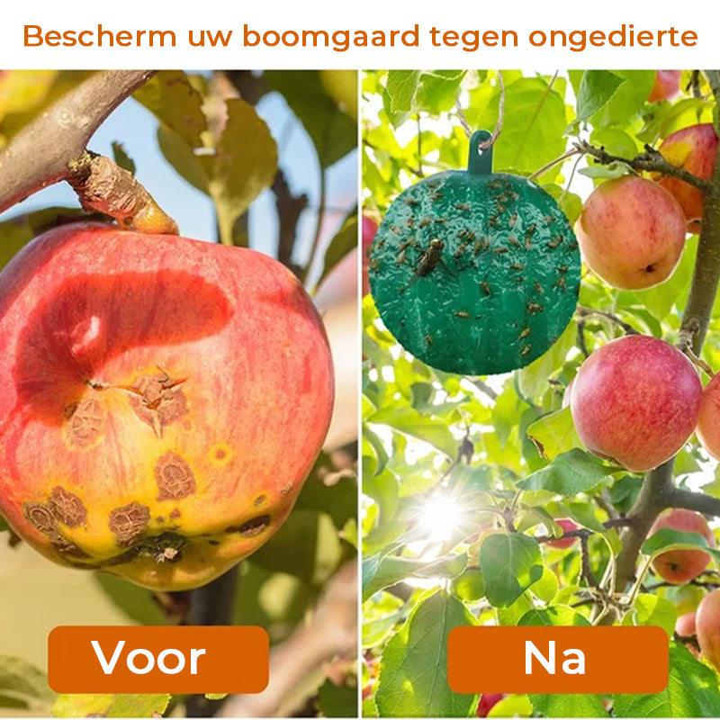 Opknoopbare Milieuvriendelijke Fruitvlieg Kleefvallen