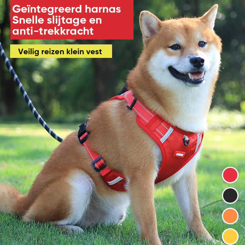 Reflecterende hondenborstband