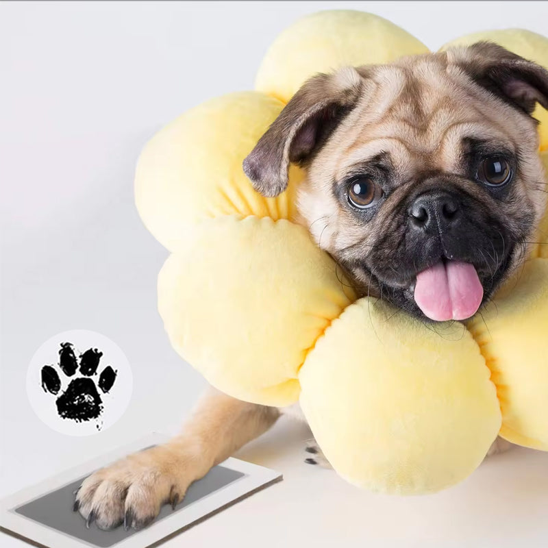 Kit voor het afdrukken van huisdierpootjes