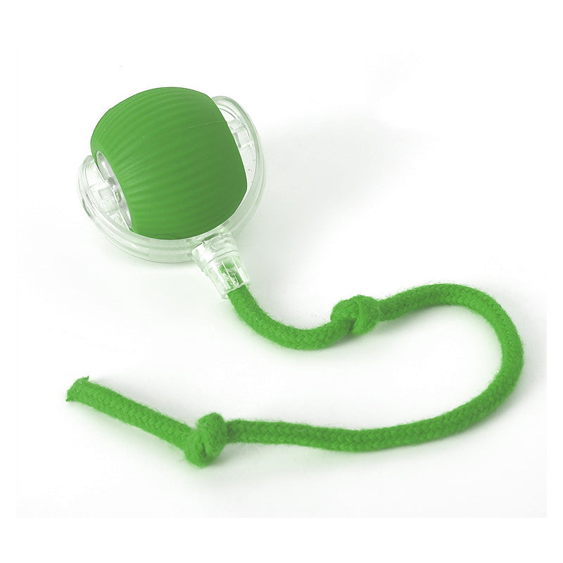 Interactieve bal voor binnenkatten