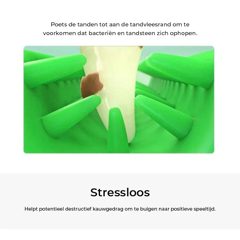 Tandenborstel voor honden