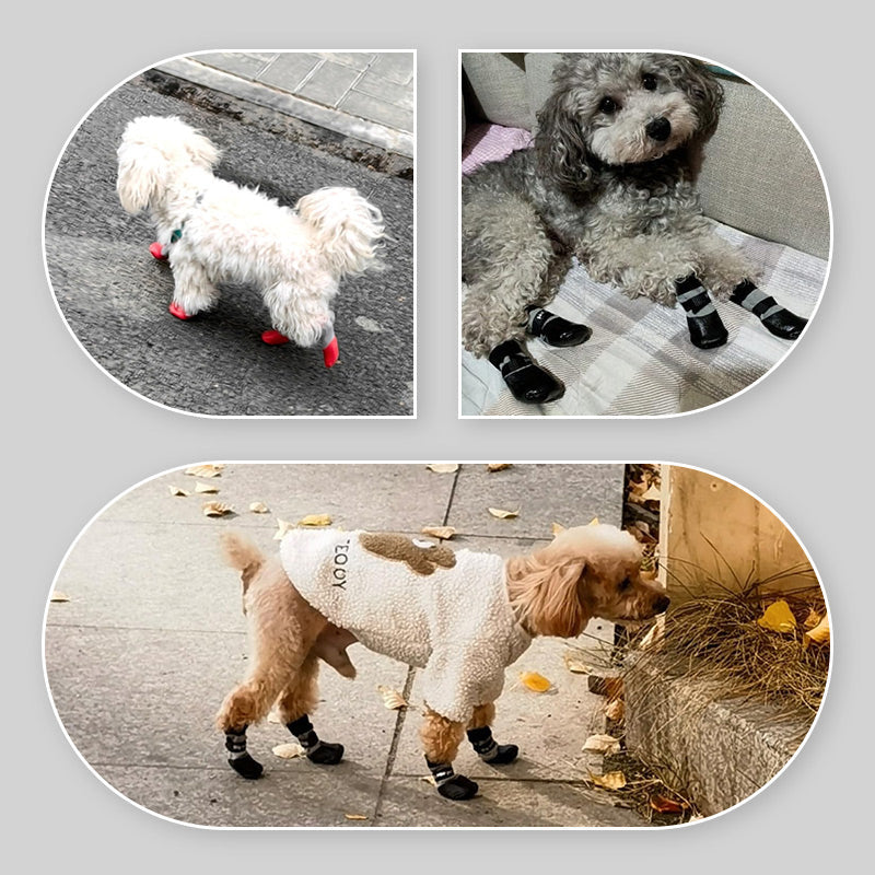 Waterdichte voethoezen voor huisdieren