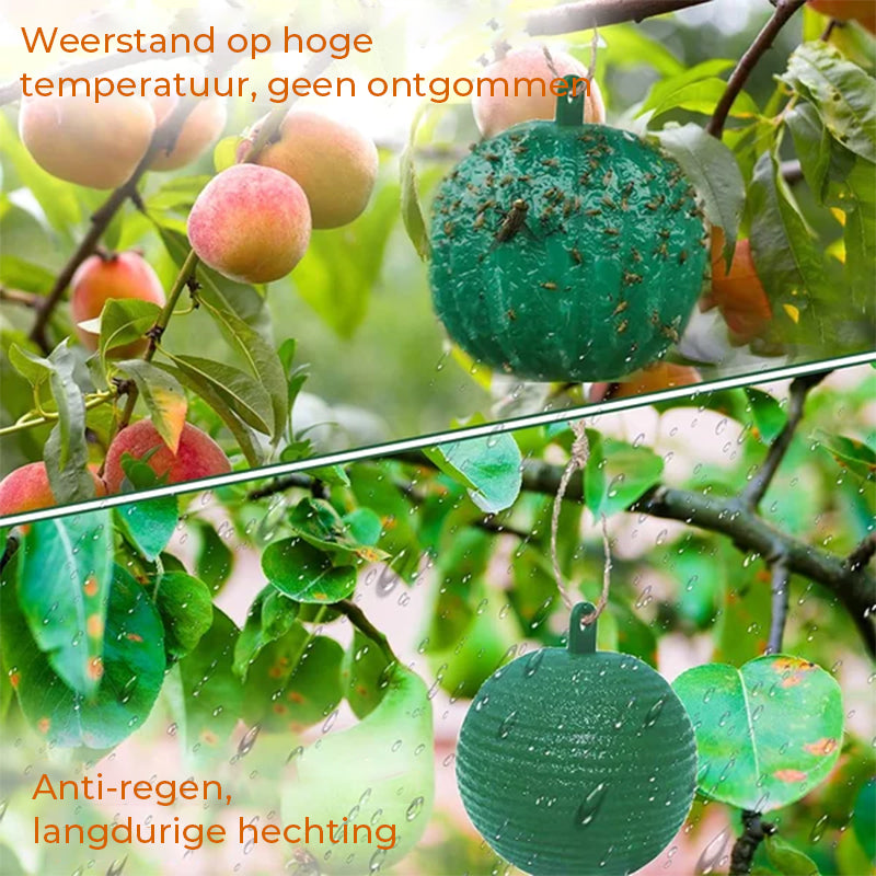 Opknoopbare Milieuvriendelijke Fruitvlieg Kleefvallen