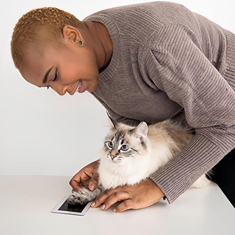 Kit voor het afdrukken van huisdierpootjes