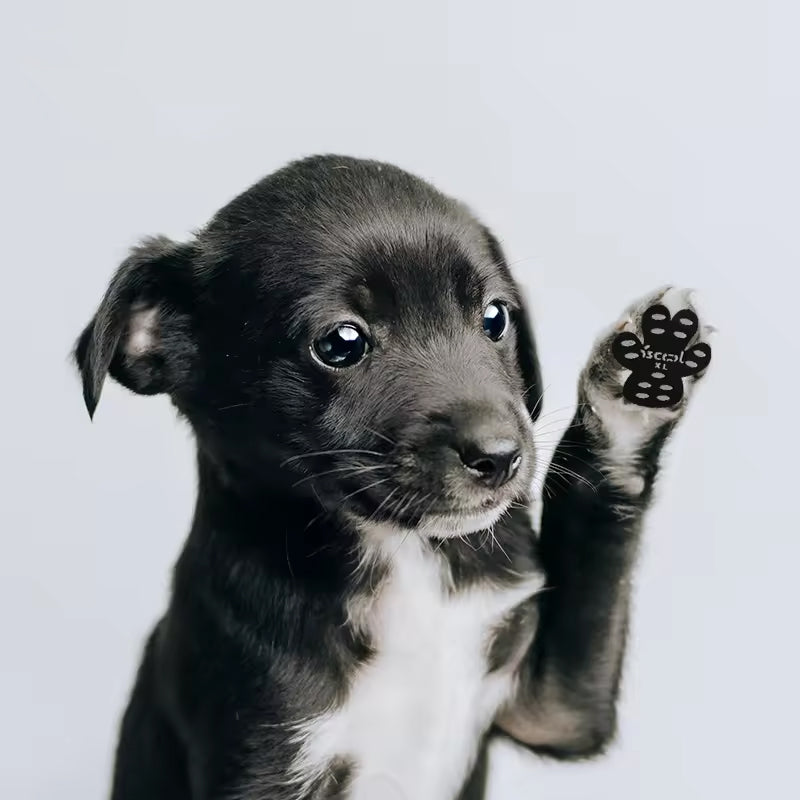 Hondenpootbeschermingspads