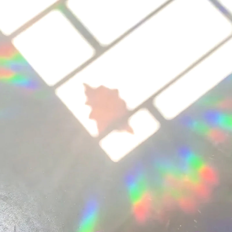 PVC dier kleurrijke anti-botsing glassticker, 6 stuks