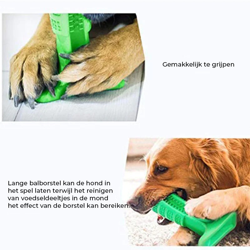 Tandenborstel voor honden