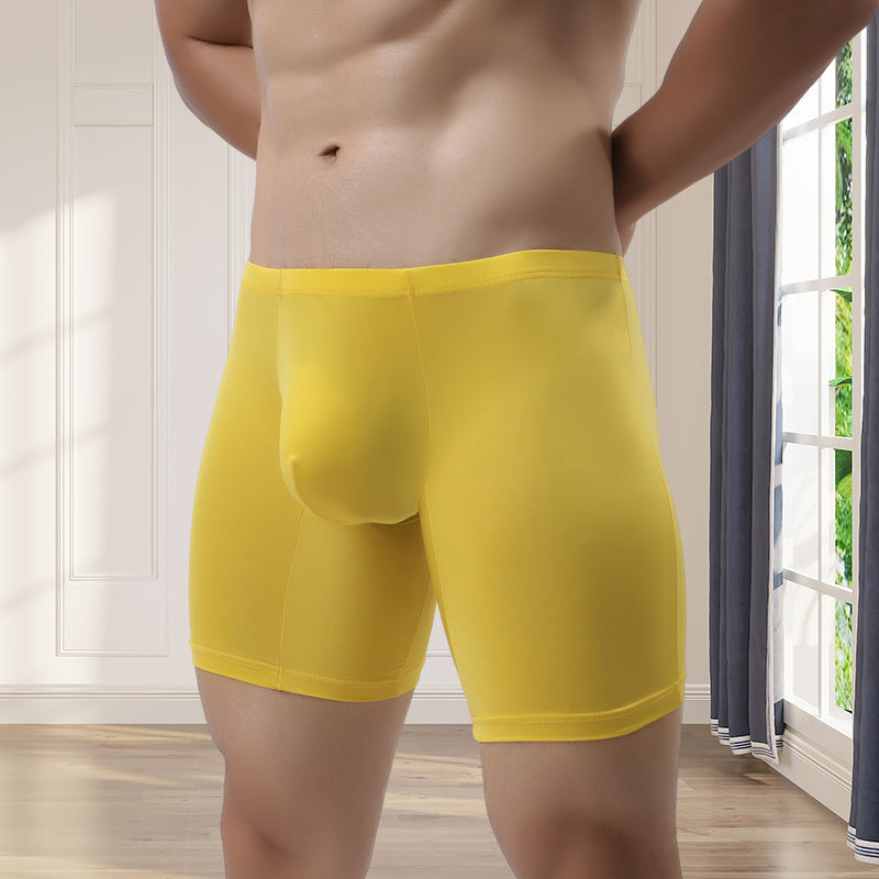 Boxershorts voor heren, ademend, op sport geïnspireerd ondergoed van ijszijde