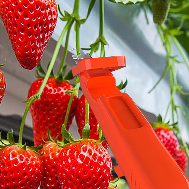 Efficiënt hulpmiddel voor het verzamelen van fruit