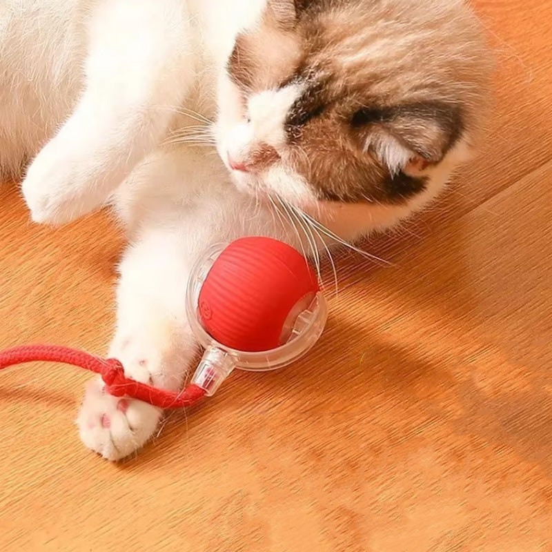 Interactieve bal voor binnenkatten
