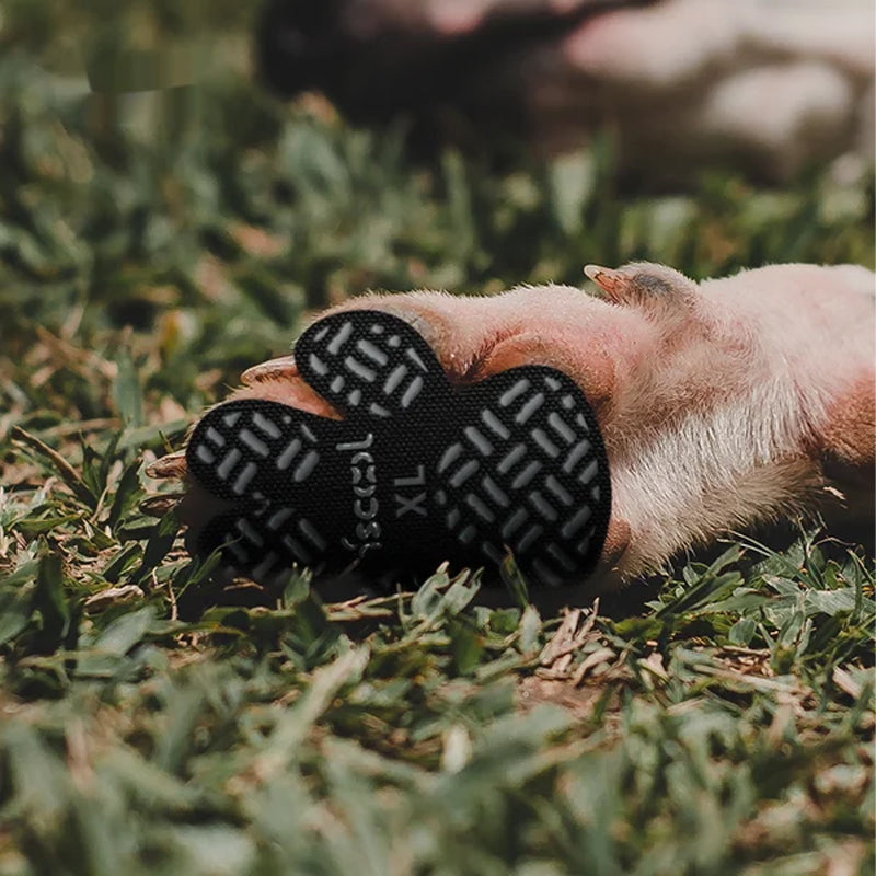 Hondenpootbeschermingspads