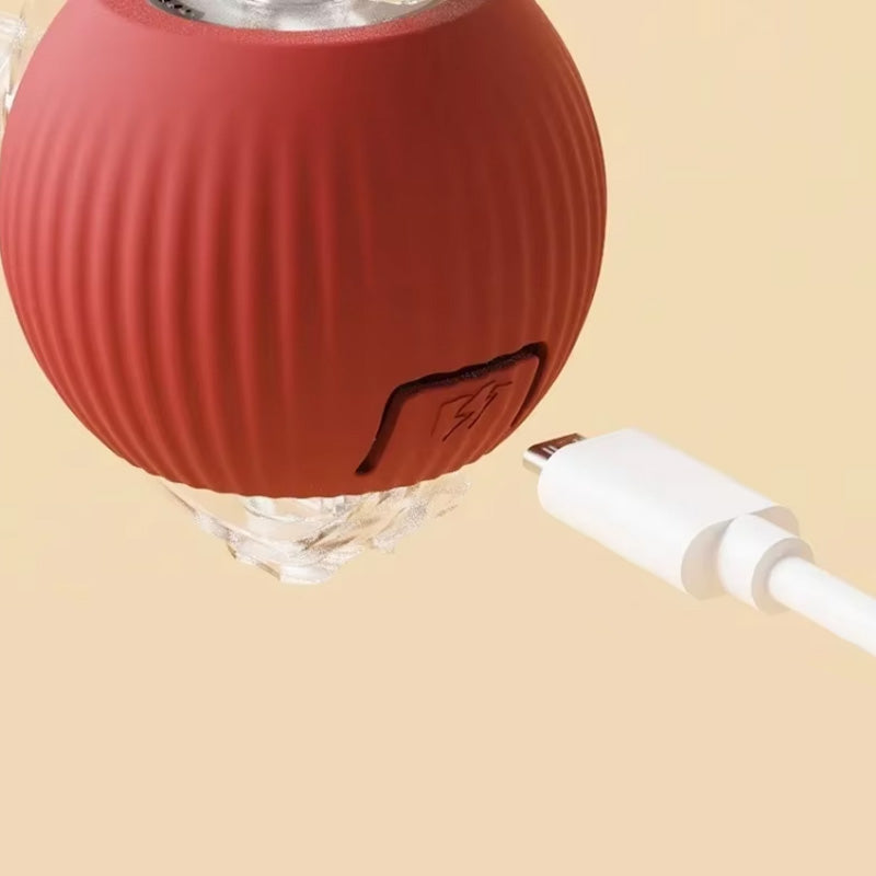 Interactieve bal voor binnenkatten