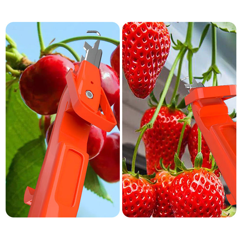 Efficiënt hulpmiddel voor het verzamelen van fruit