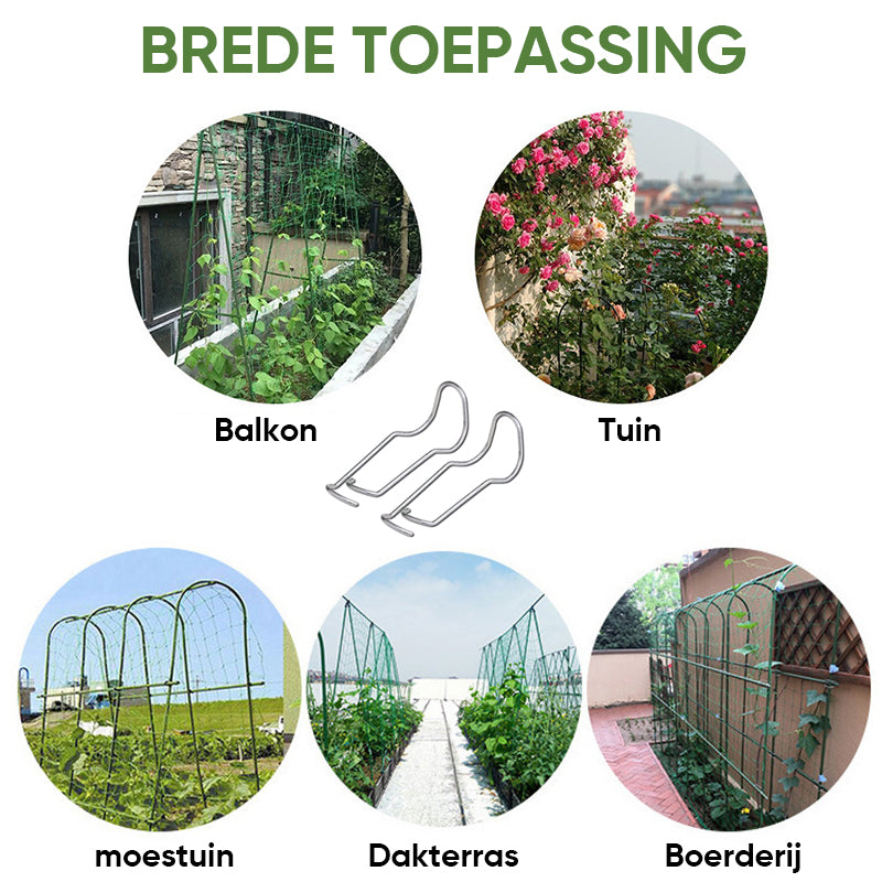 Pijlerverbindingsgesp