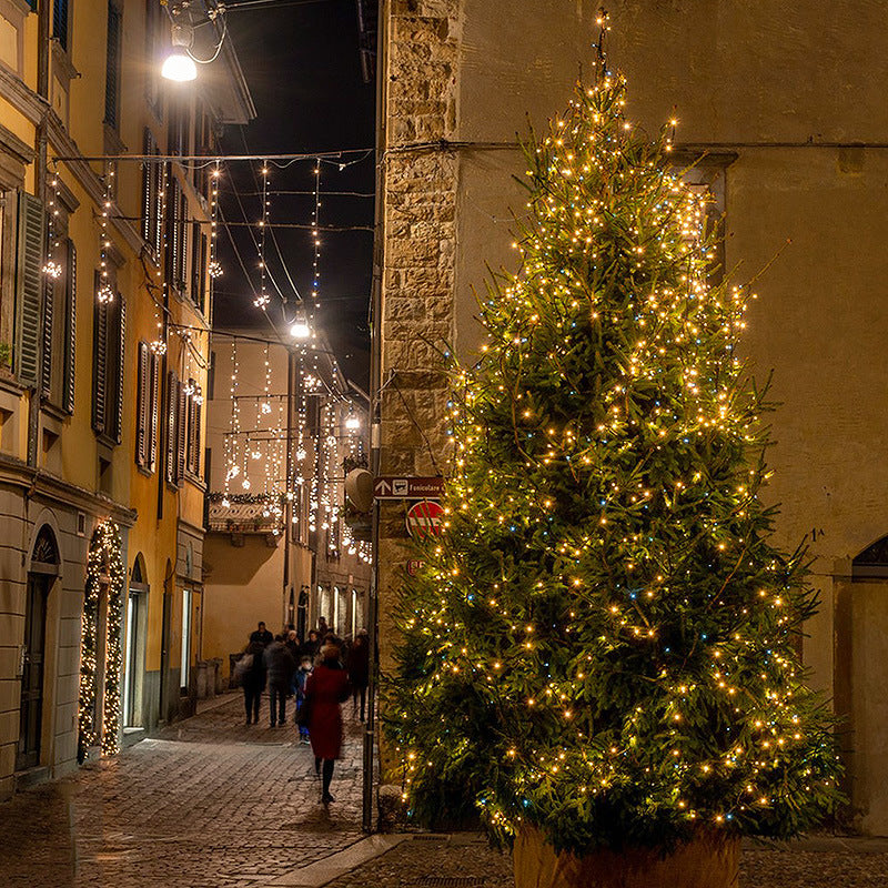 LED waterdichte lichtslingers met afstandsbediening