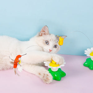 Interactief vogelspeelgoed voor katten