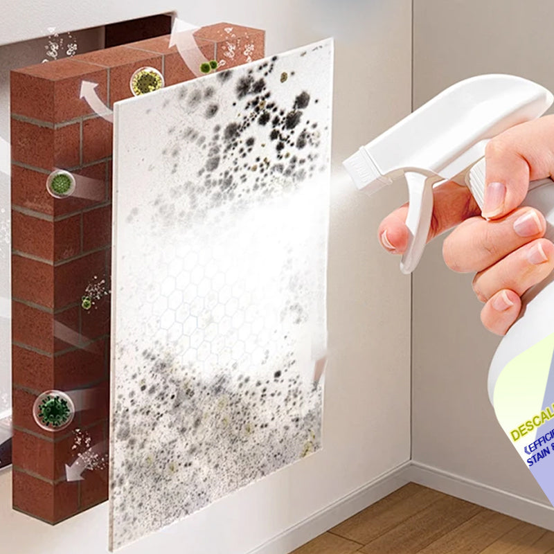 Efficiënte vloeibare steenvlek en roestverwijderaar