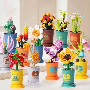 Koffiekopjes planten potblokken