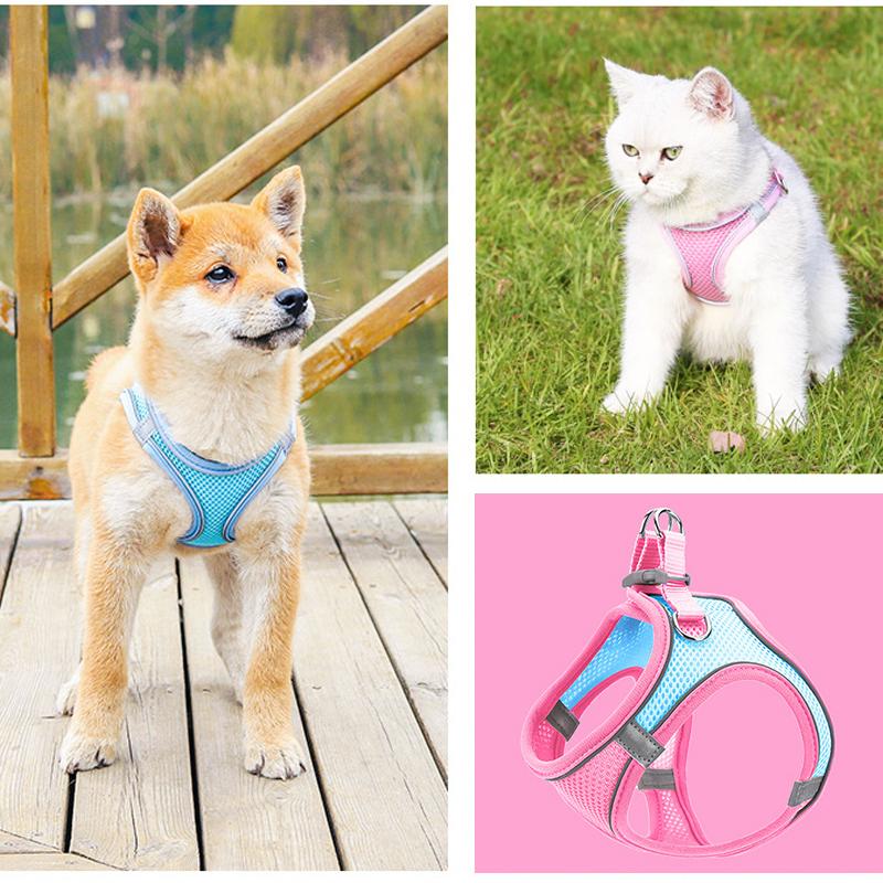 Borstband voor huisdieren