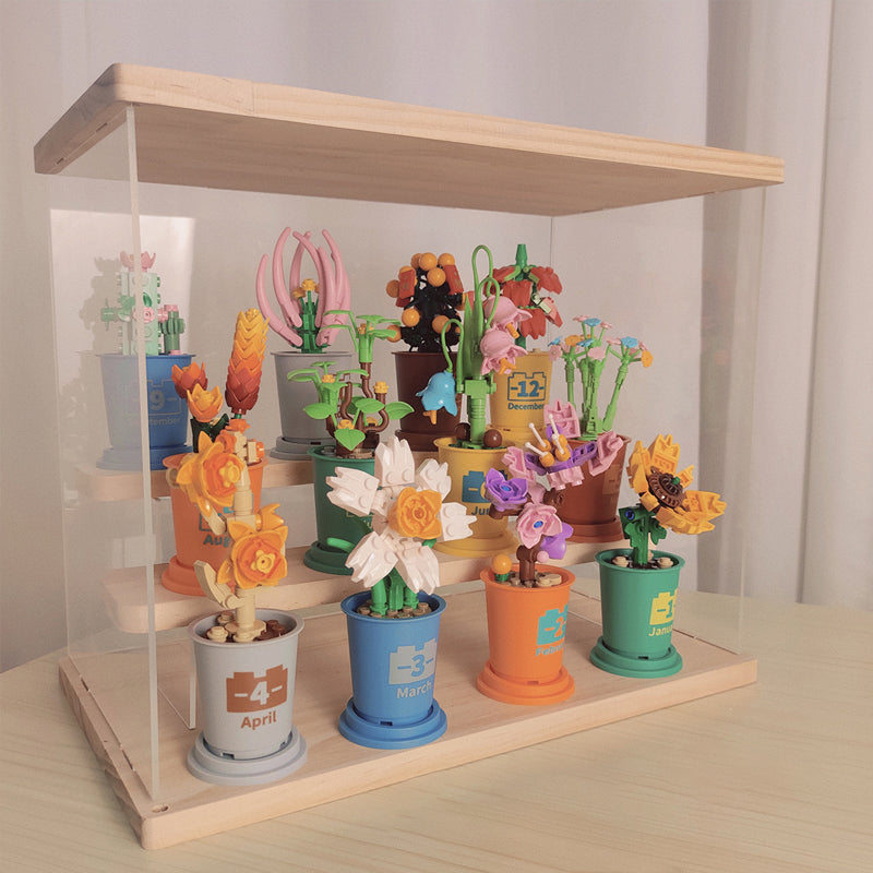 Koffiekopjes planten potblokken