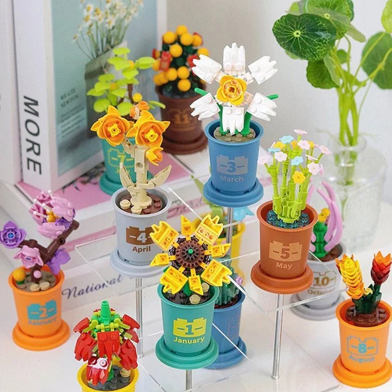 Koffiekopjes planten potblokken