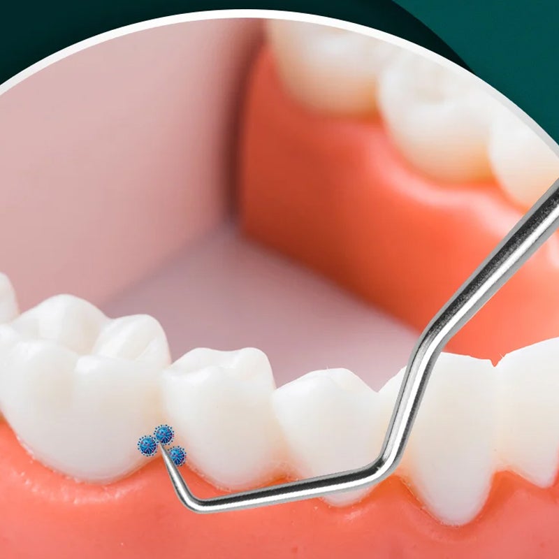 Draagbare tandenstoker set