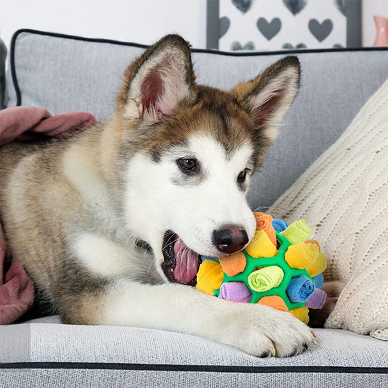 Honden kauw speeltje