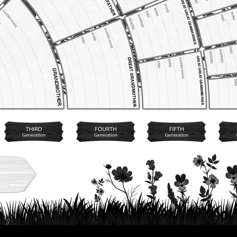 Stamboom genealogie diagram