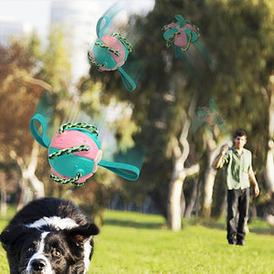 Kauwbare knijpbare UFO bal voor hond
