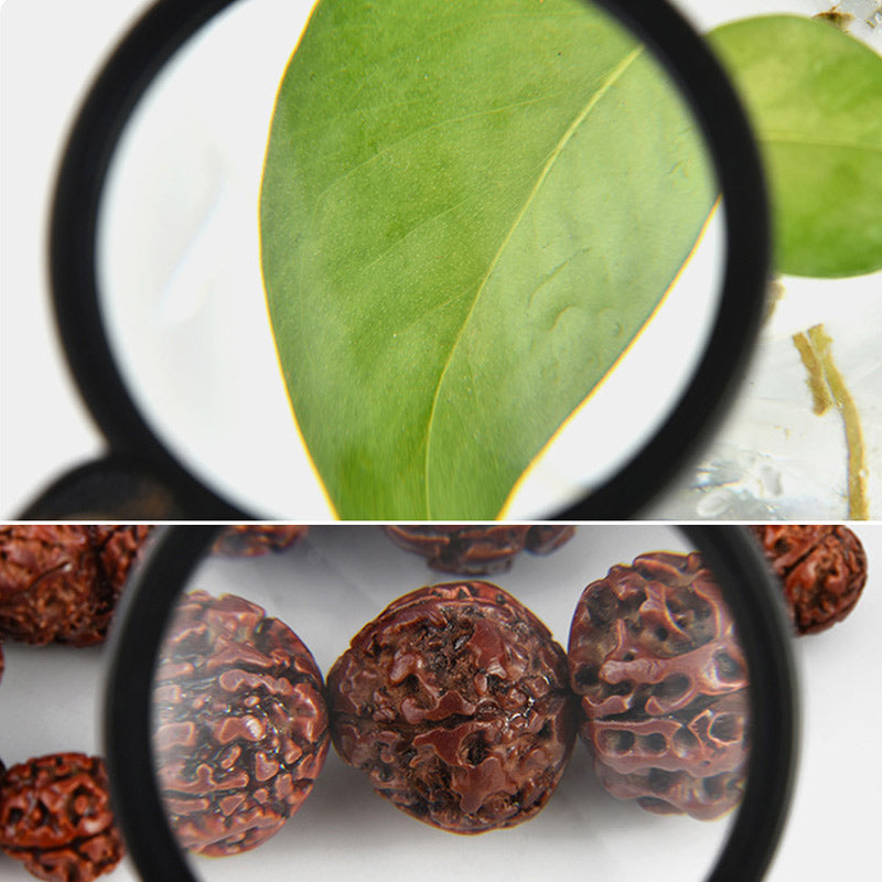 Nieuw Leren Etui Opvouwbaar Vergrootglas