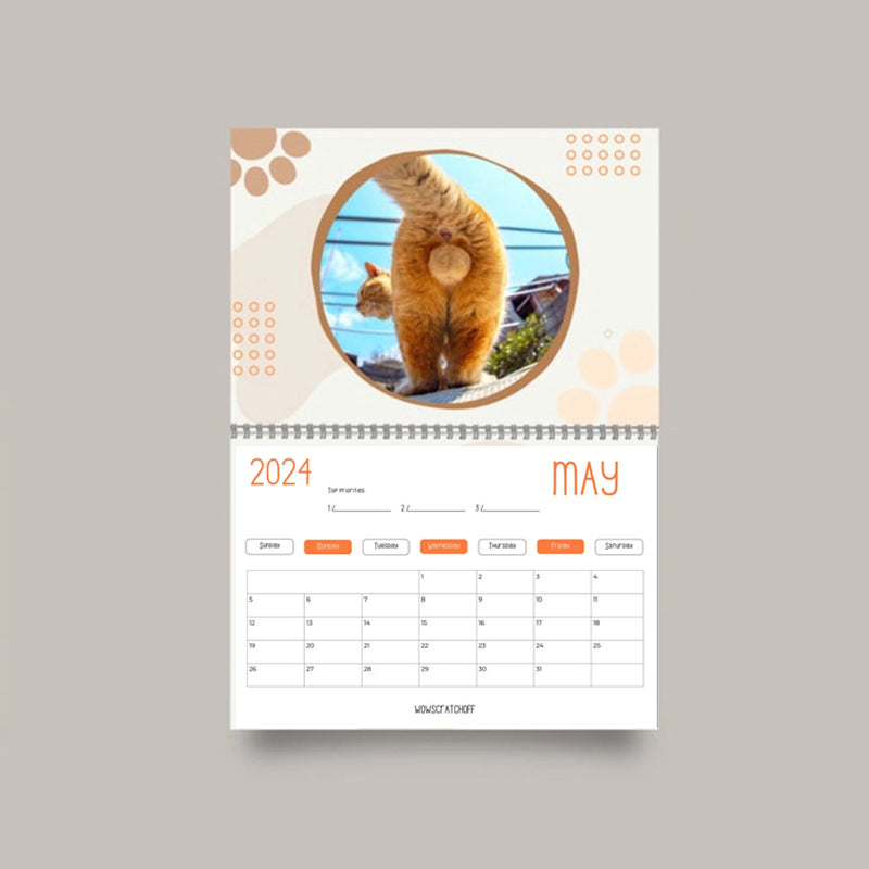 Grappige kattenballen kalender 2024