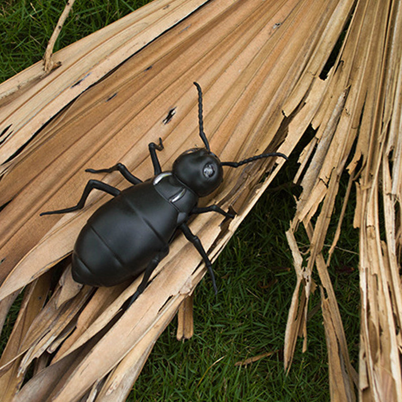 Elektrisch dierenspeelgoed met afstandsbediening