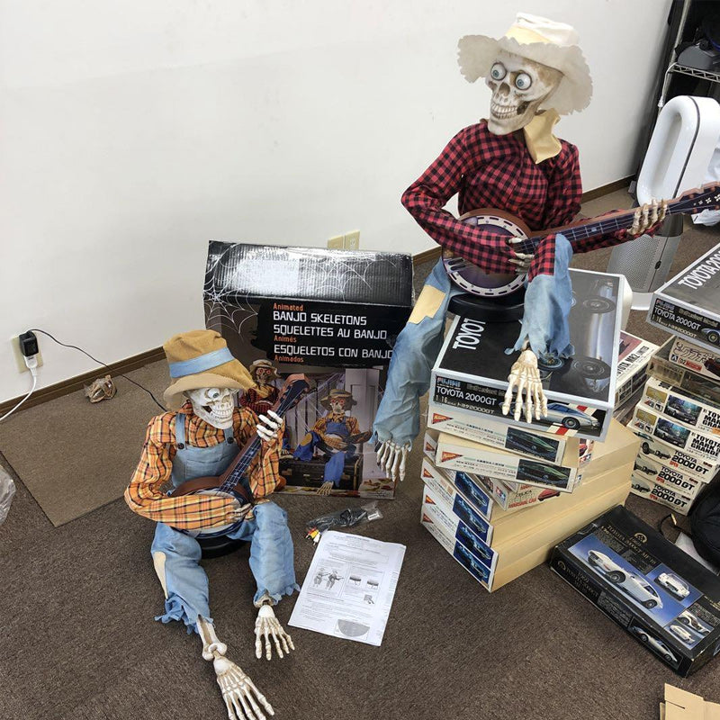 Grappige geanimeerde duellerende banjo-skeletten