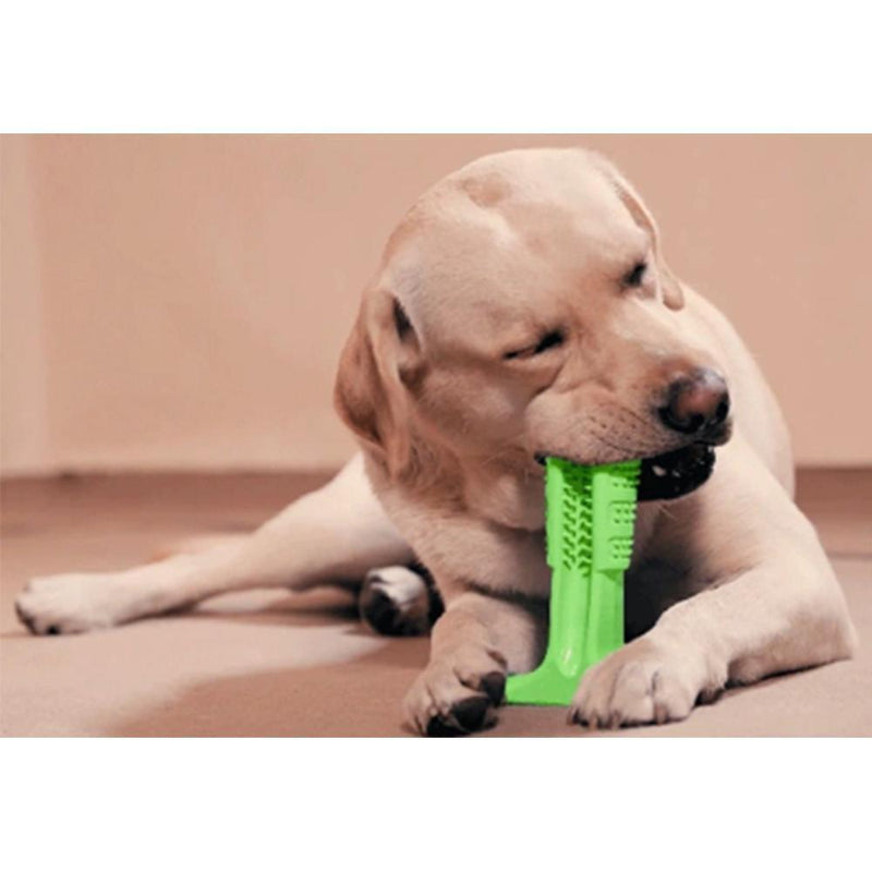 Tandenborstel voor honden