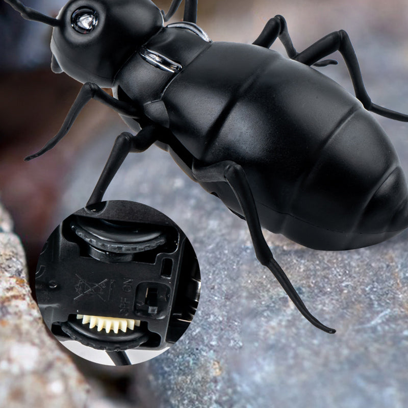 Elektrisch dierenspeelgoed met afstandsbediening