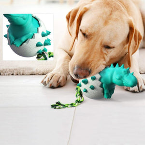 Dinosaur Eggs Kauwspeeltjes voor honden