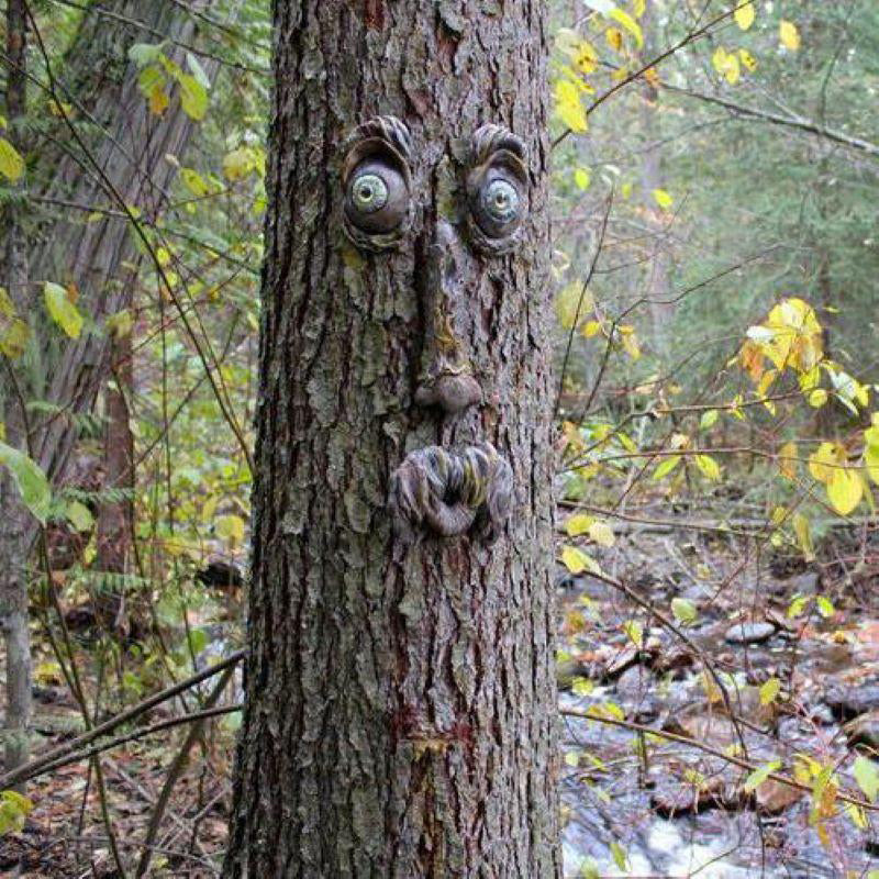 Decoratie voor buiten bomen
