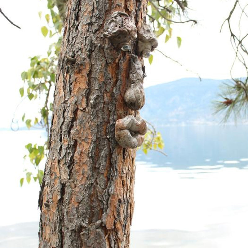 Decoratie voor buiten bomen
